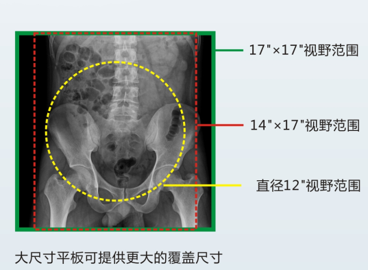 多功能動態DR