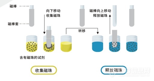 全自動化核酸提取儀原理