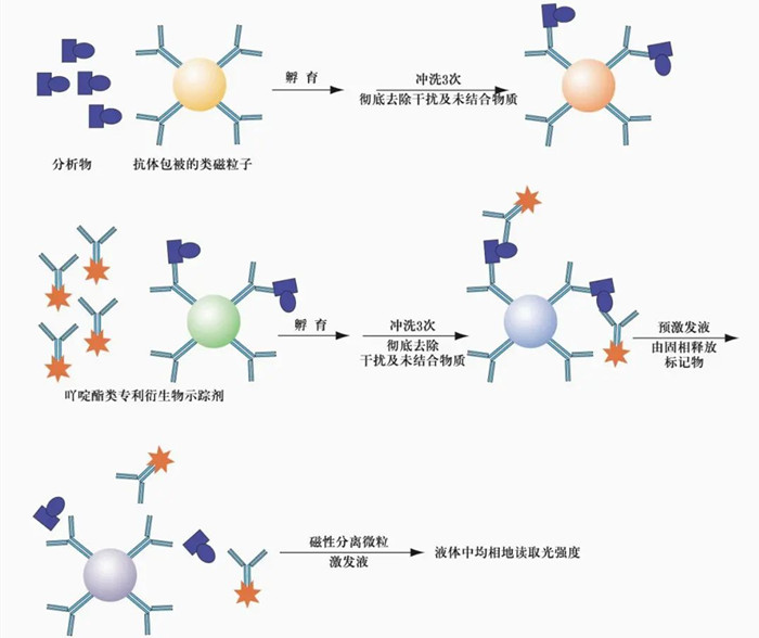 化學發光檢測儀的工作流程